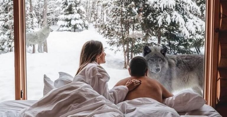 Dormir avec les loups
